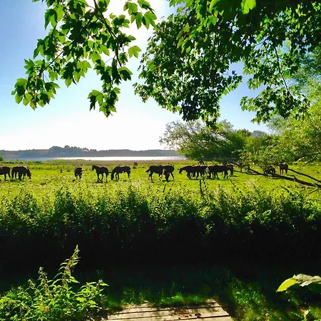 게스트하우스 Sebber Kloster Nibe